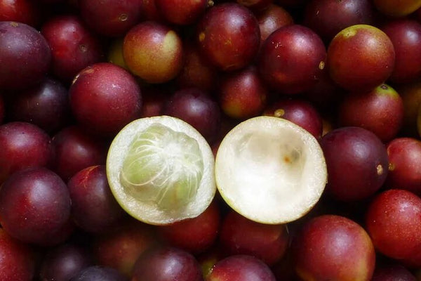 4h Cooking Class in Lima: Iconic Dishes & Bottomless Drinks