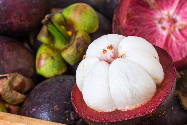 3h Cooking Class in Panama City: 10 Recipes & Bottomless Drinks