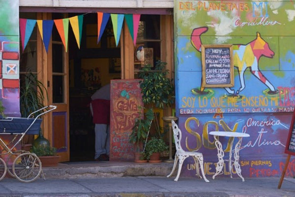3hr Food Crawl in Viña del Mar Market and Seaside Bites