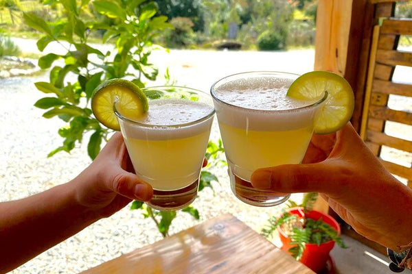 4h Cooking Class in Santiago with 8 Recipes & Bottomless Drinks