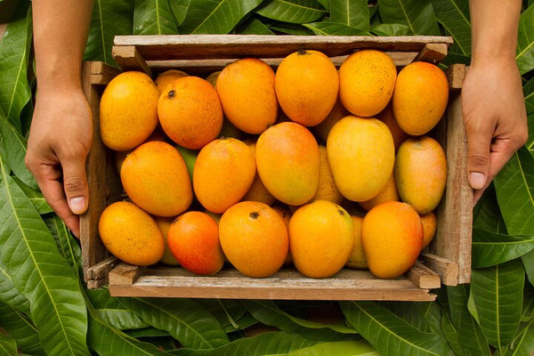 Cooking Class in Playa del Carmen: 9 Recipes & Bottomless Drinks