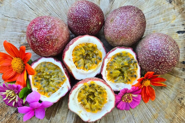 3h Cooking Class in Panama City: 10 Recipes & Bottomless Drinks