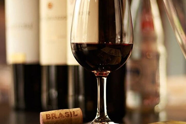 3-Hour Brazilian Drinks & Appetizers Hands-On Class in Rio